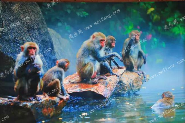 特色美食:陵水酸粉,三点蟹,琵琶蟹等.