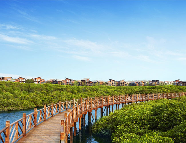 澄迈富力红树湾白鹭湾组团发售倒计时,现正火热登记中